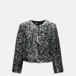 Zara Silver Sequin Blazer
